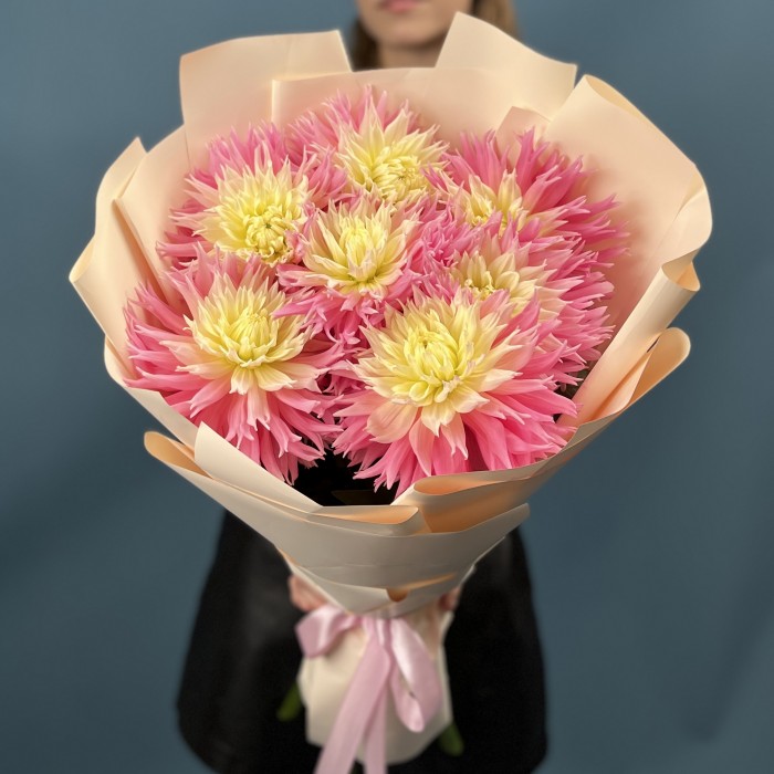 7 розово-желтых игольчатых георгин Джаст Меррид